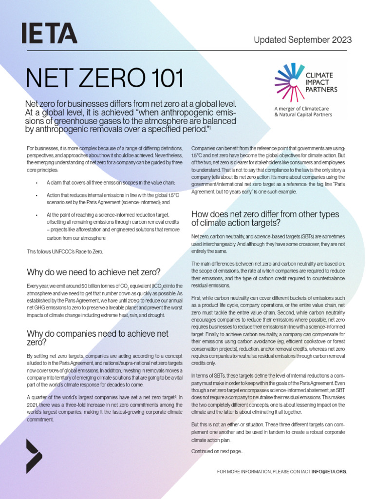 IETA 101 NetZero Sept2023 | PDF | Gases | Environmental Impact