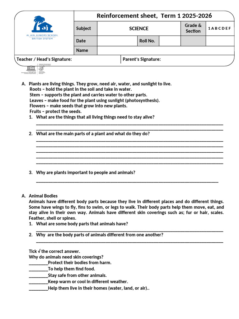Science Reinforcement Sheet Term 1 2025-2026 | PDF | Plants | Foods