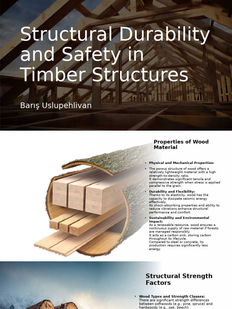 Structural Durability and Safety in Timber Structures | PDF | Wood | Lumber