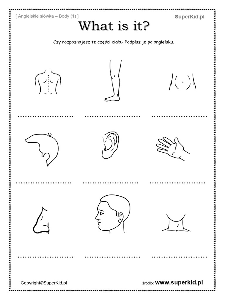 Body Write 1 | PDF