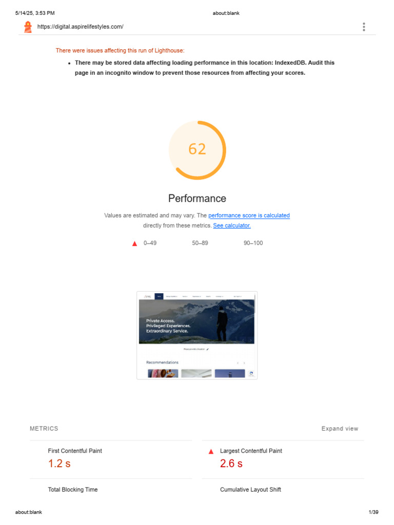 Lighthouse Performance Audit Results | PDF | Document Object Model ...