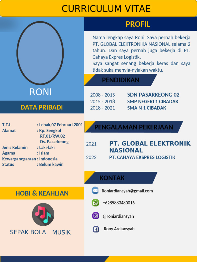 Profil Roni: CV dan Pengalaman Kerja | PDF