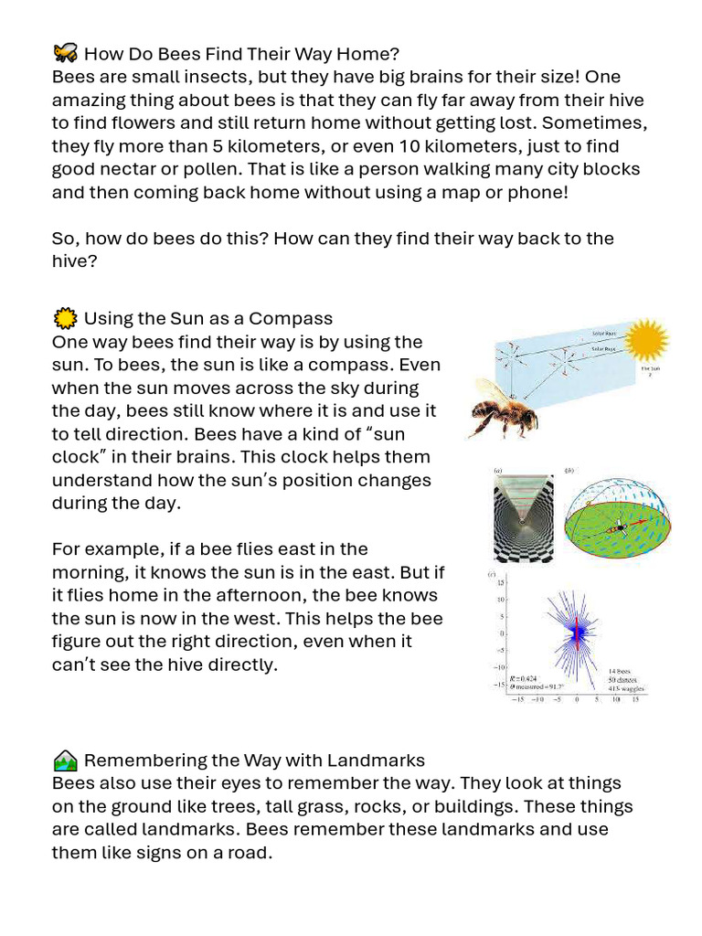 How Bees Navigate Home | PDF | Bees | Beekeeping