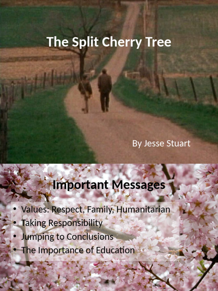 Themes and Analysis of The Split Cherry Tree | PDF | Cognition