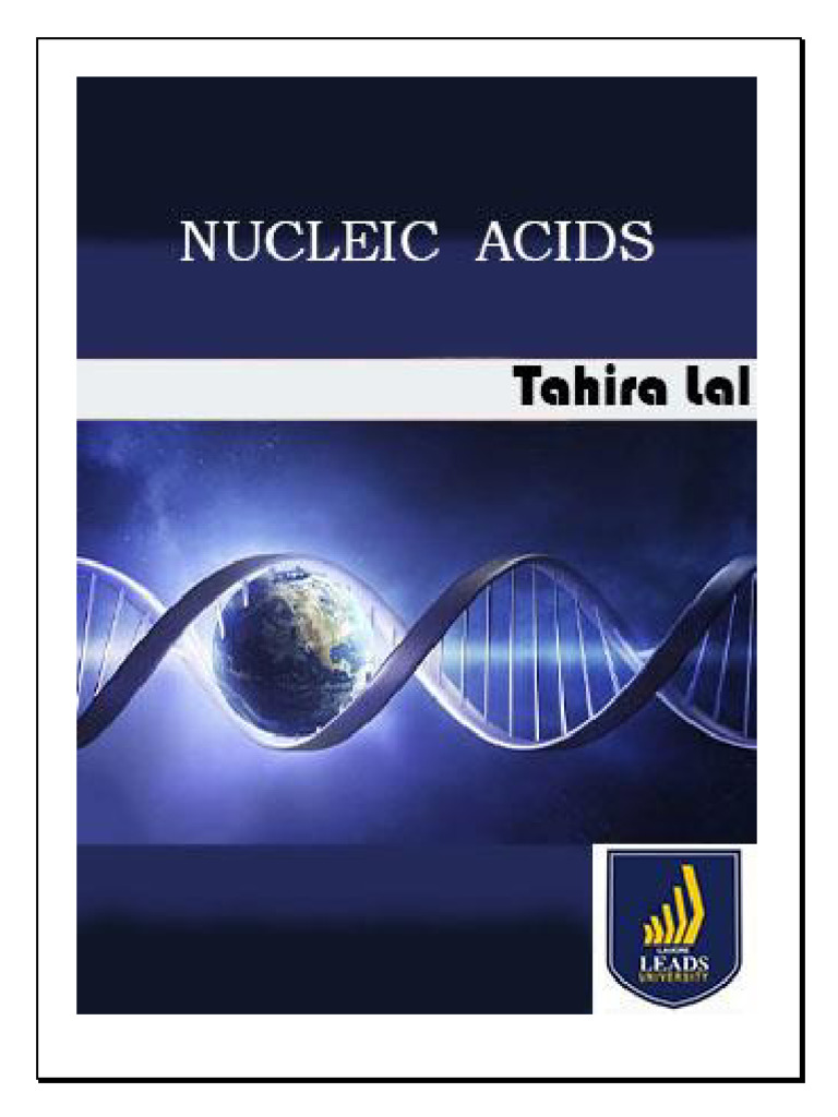 Overview of Nucleic Acids and Their Functions | PDF | Nucleotides | Rna