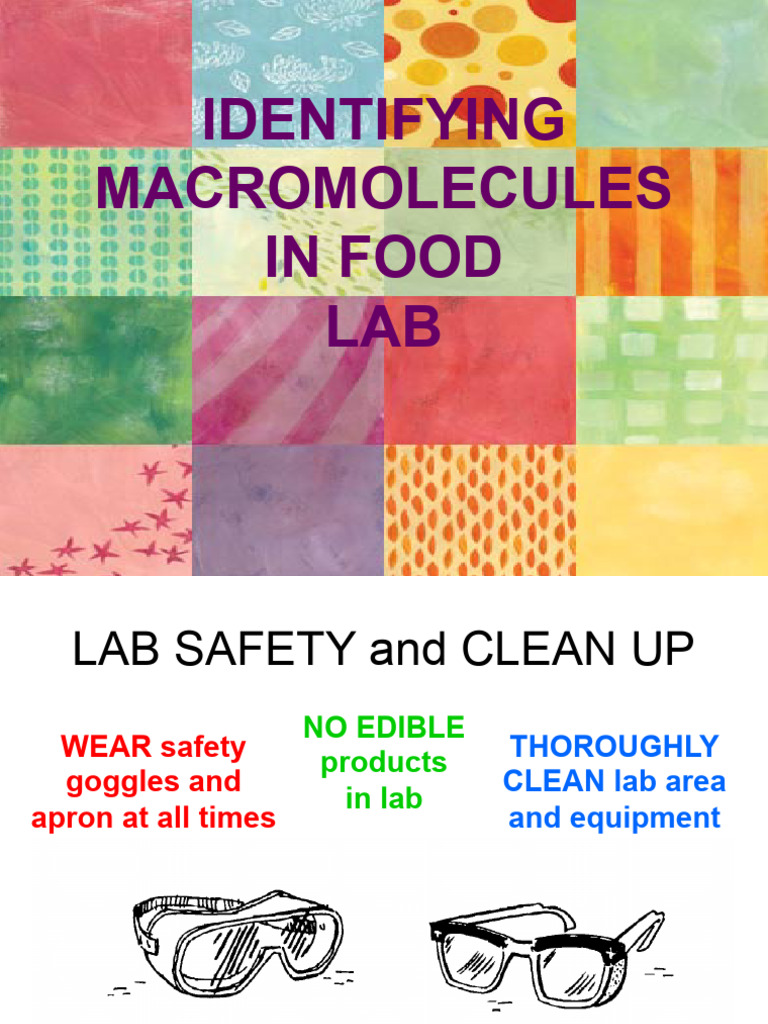Testing Food Macromolecules Lab Guide | PDF | Carbohydrates | Foods