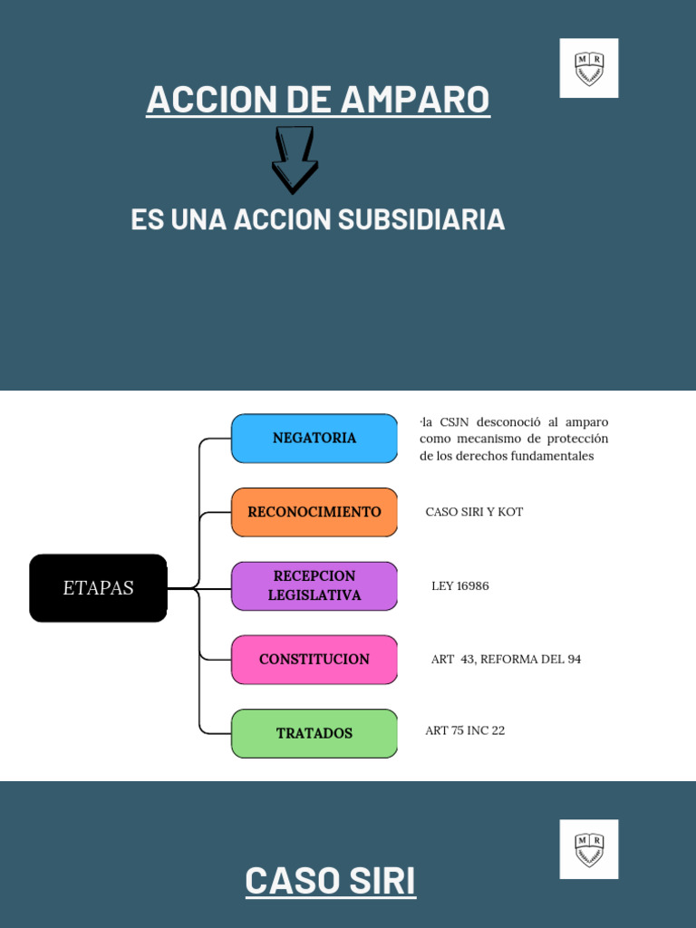 Acción de Amparo y Habeas Corpus en Argentina | PDF | Habeas corpus ...