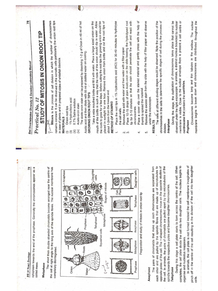 Genetics Practical | PDF