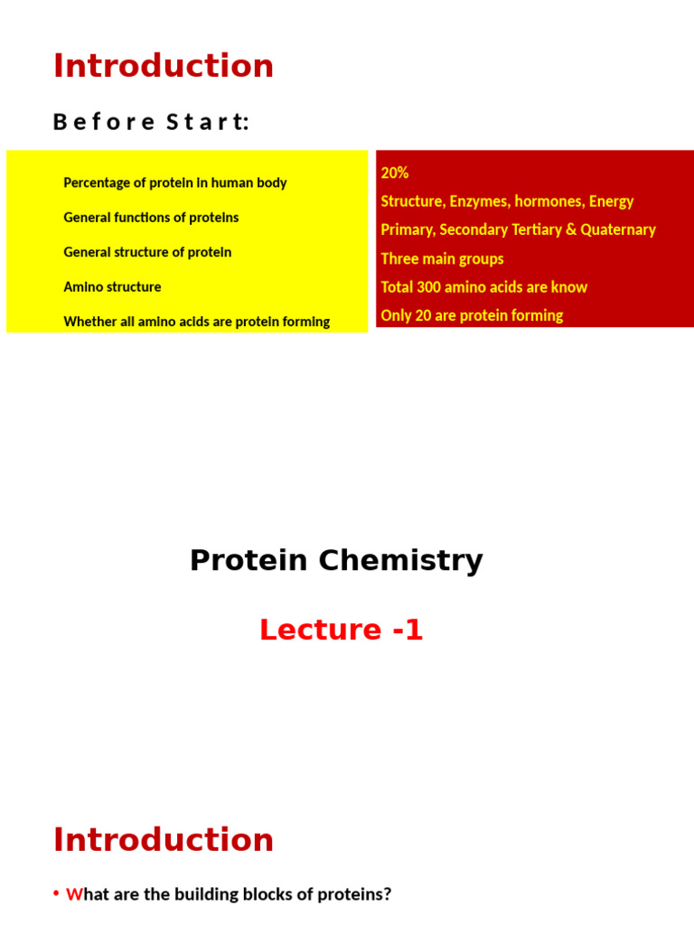 Understanding Protein and Amino Acids | PDF | Amino Acid | Protein ...