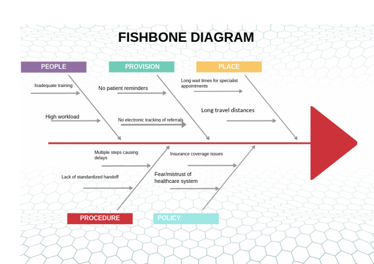 Fishbone Analysis of Healthcare Delays | PDF
