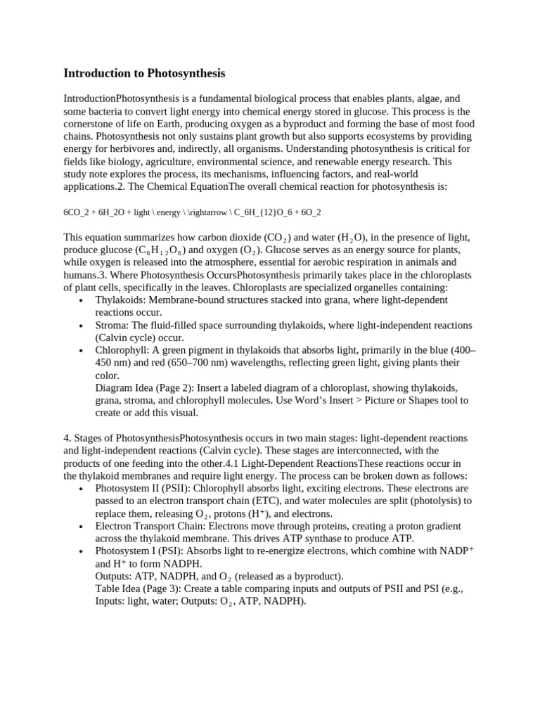 Understanding Photosynthesis Basics | PDF | Photosynthesis | Chloroplast