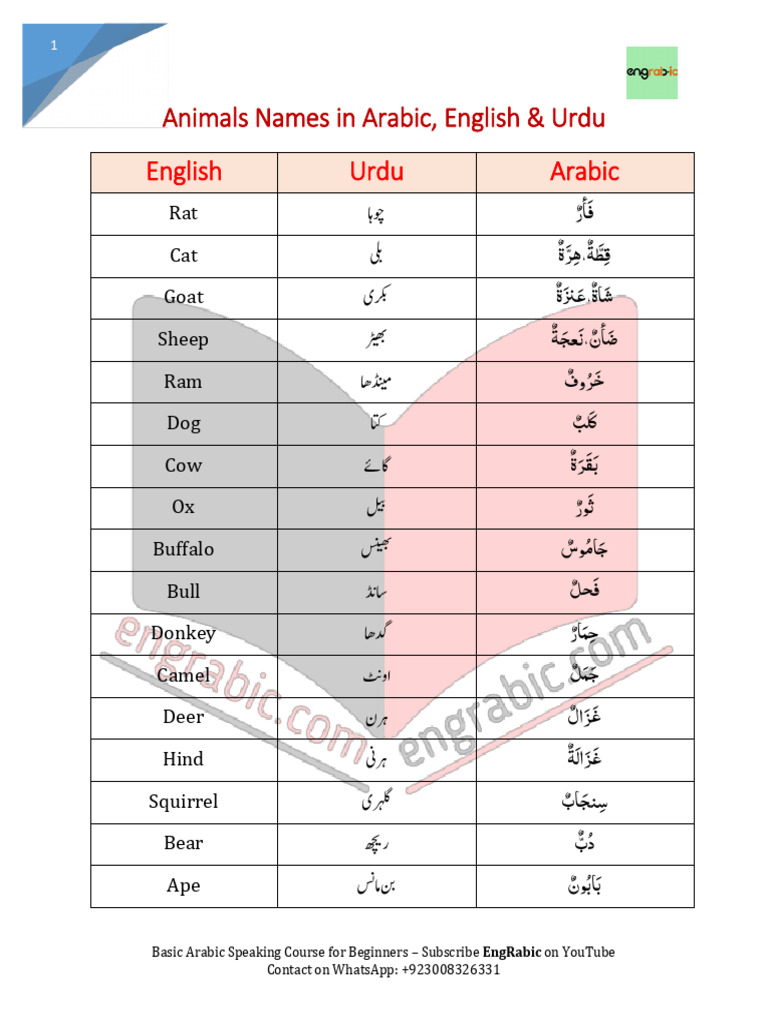 Animals | PDF