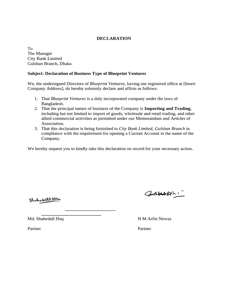 Blueprint Ventures Business Declaration | PDF