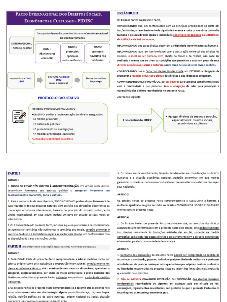 Direitos Sociais e Econômicos no PIDESC | PDF | Direitos Humanos ...
