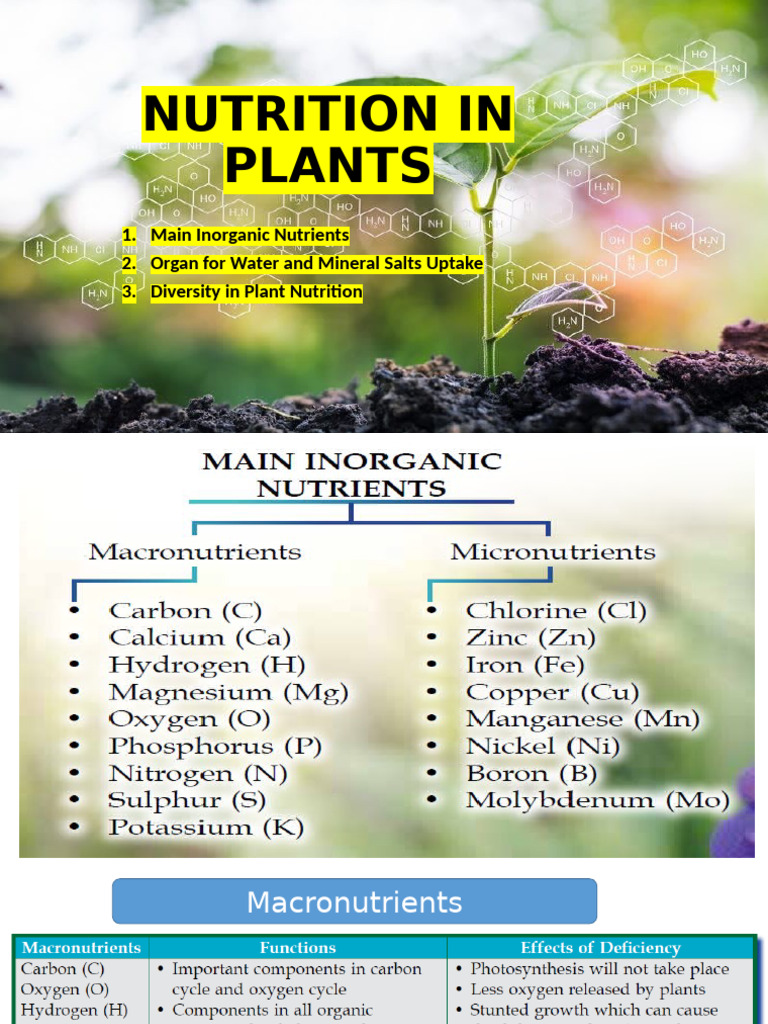 plant-nutrition-inorganic-nutrients-adaptations-pdf-nutrition