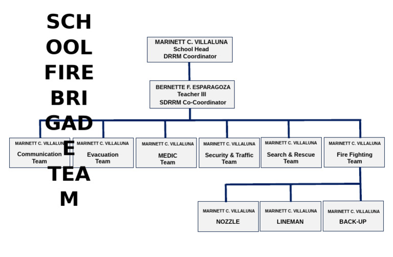 Fire Brigade Team Structure Philippines | PDF