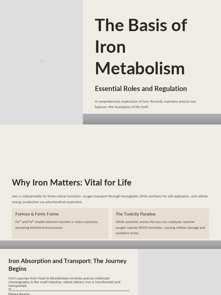 Iron Metabolism: Roles and Regulation | PDF | Iron | Biochemistry