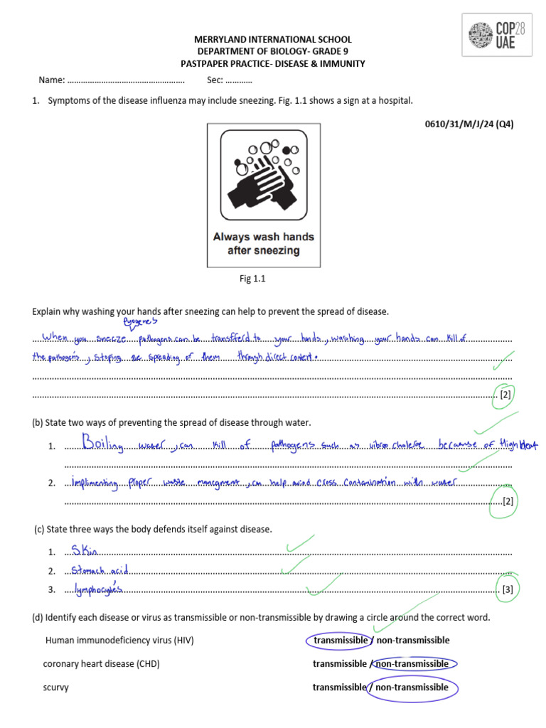 Disesase Immunity Past Paper | PDF | Antibody | Immune System