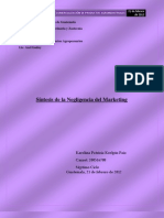 Sintesis No.2 - Negligencia Del Marketing - Karolina P.koelpin P.