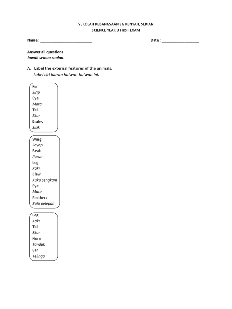Science Year 3 1st Monthly Test | PDF