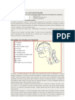 O funcionamento do aparelho fonador humano