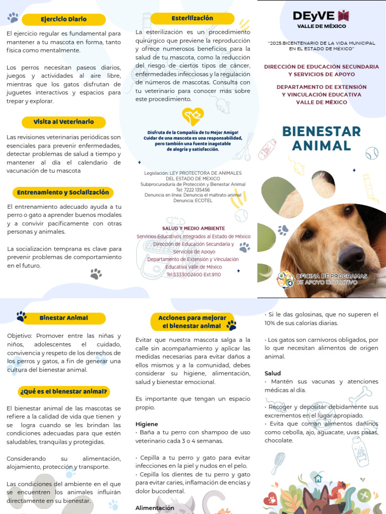Triptico Cuidado Animal Ok | PDF | Mascota | Perros