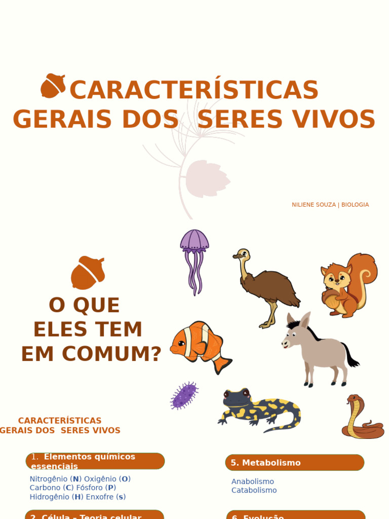 Características Gerais Dos Seres Vivos - Ciencias | PDF | Organismos | Vida