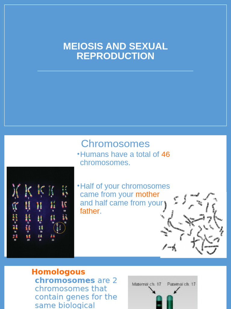 CH 6 MeiosisNotes With Blanks 2020 | PDF | Meiosis | Ploidy