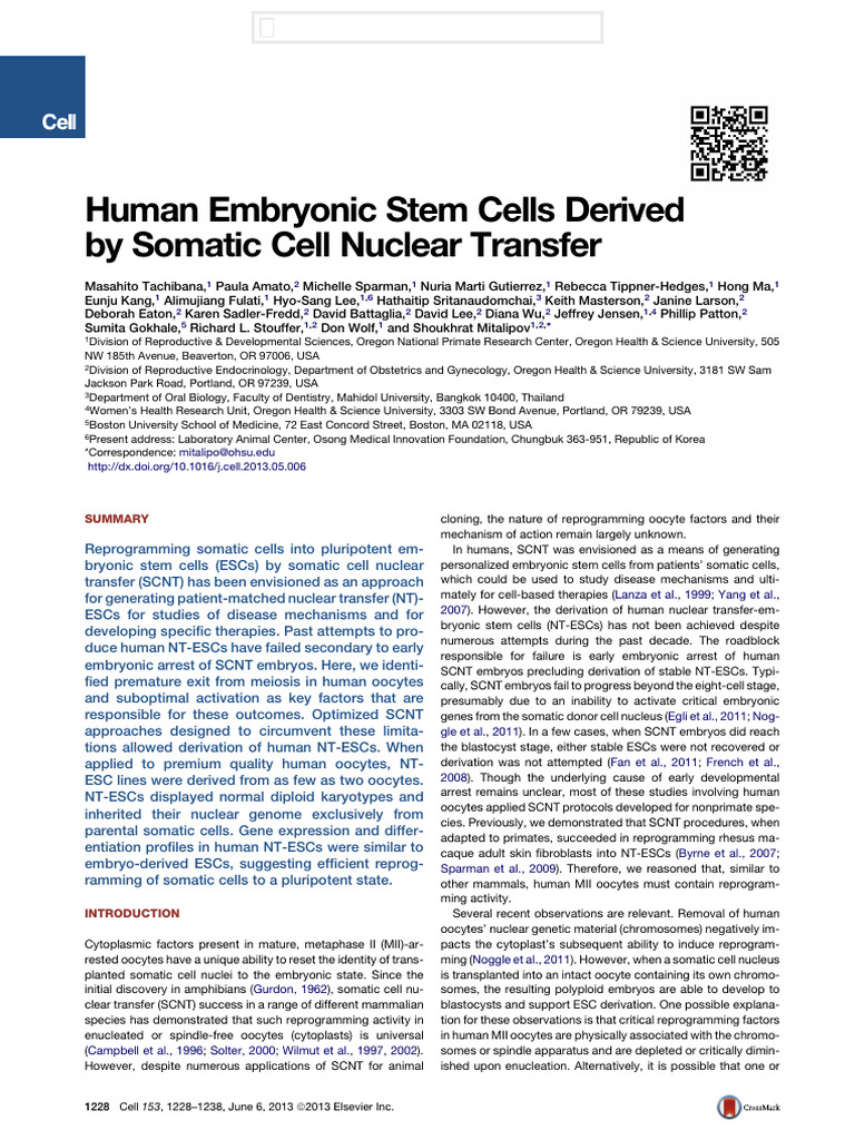 Human NT-ESCs via Somatic Cell Transfer | PDF | Embryonic Stem Cell | Cells