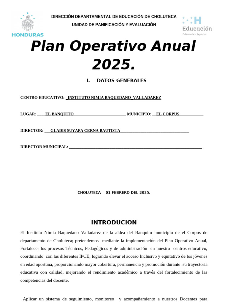 Plan Operativo Anual 2025 Instituto Nimia Baquedano | PDF | Inclusión ...