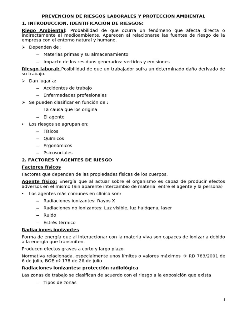 Prevención de Riesgos Laborales y Ambientales | PDF | Encendiendo ...