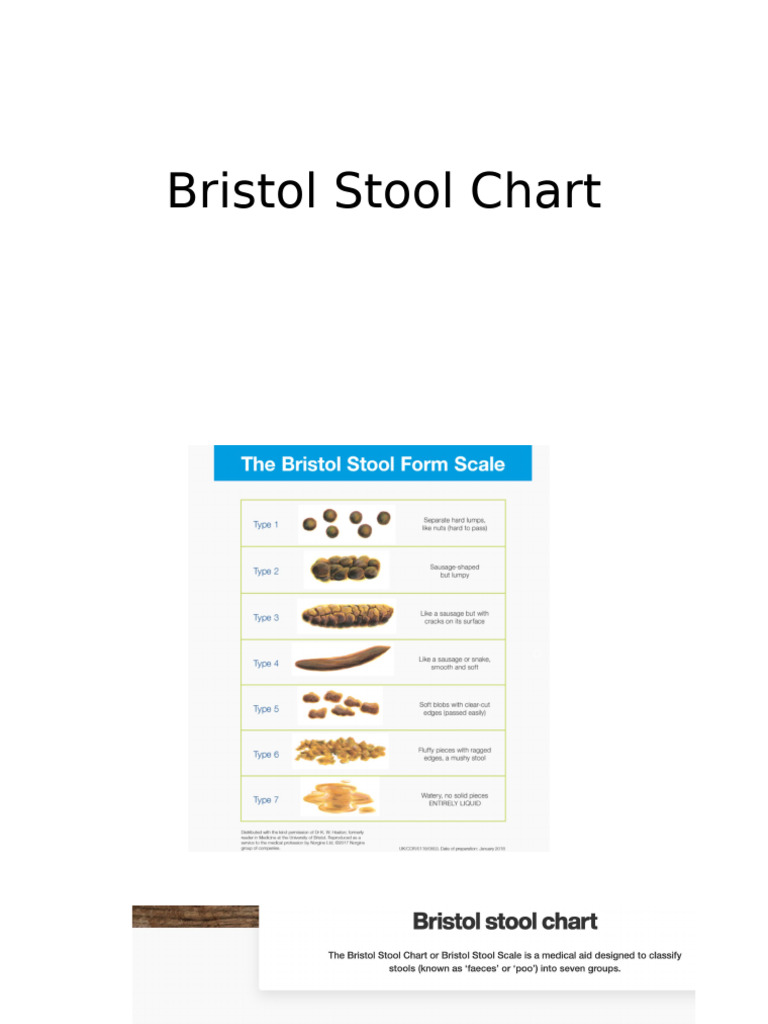 Bristol Stool Chart | PDF