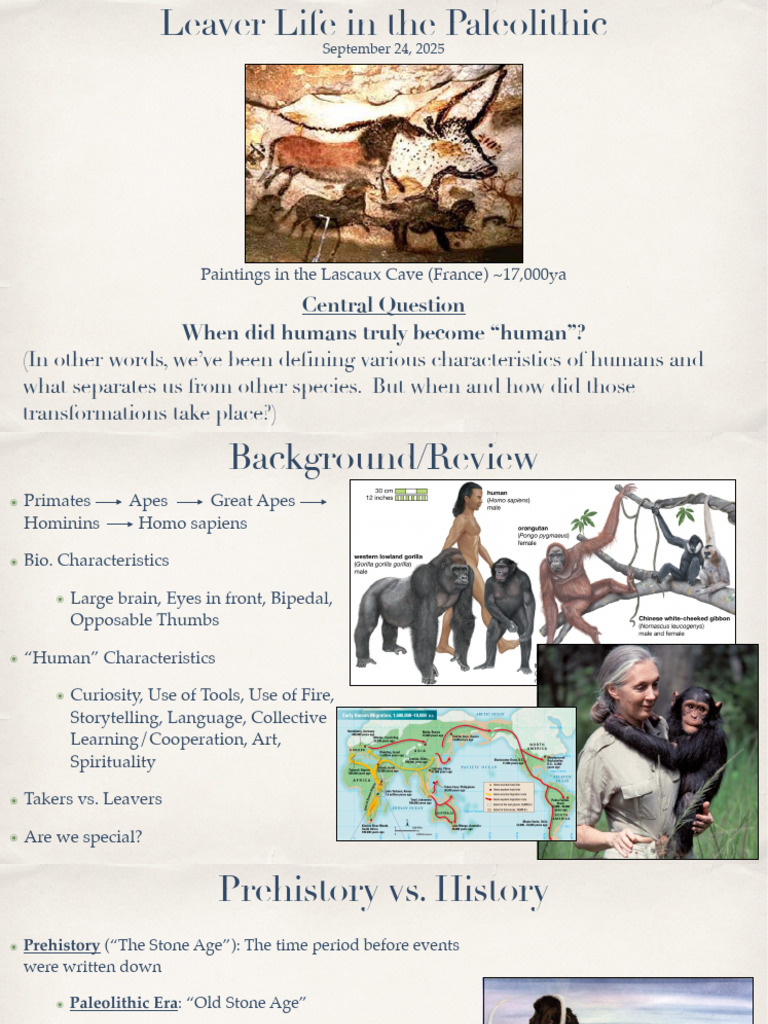 Paleolithic Human Development Insights | PDF | Paleolithic | Stone Age