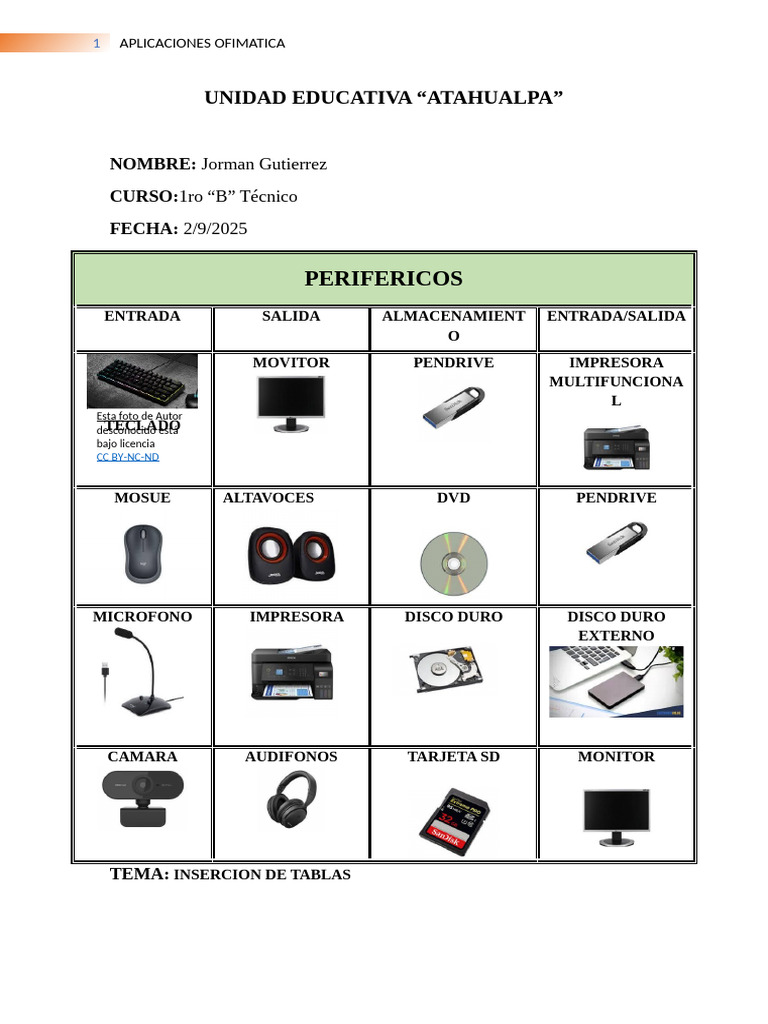 Practica 2 | PDF | Periférico | Hardware de la computadora