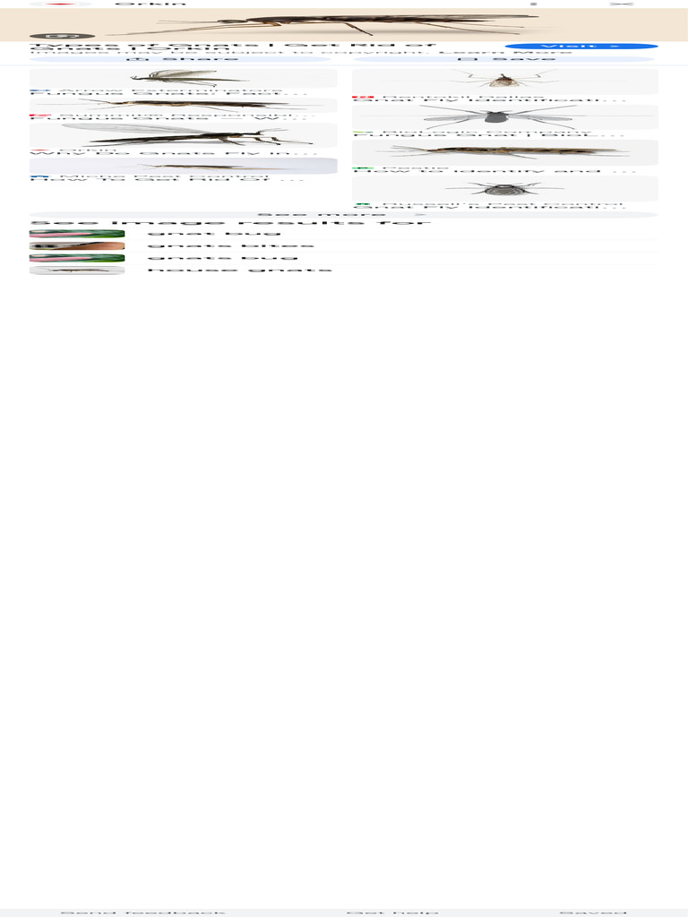 Nets Bug - Google Search | PDF