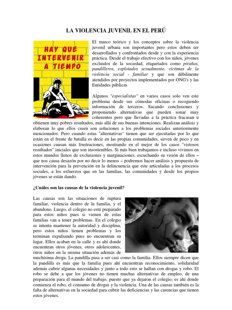 Causas y Soluciones a la Violencia Juvenil | PDF | Juventud | Sociedad