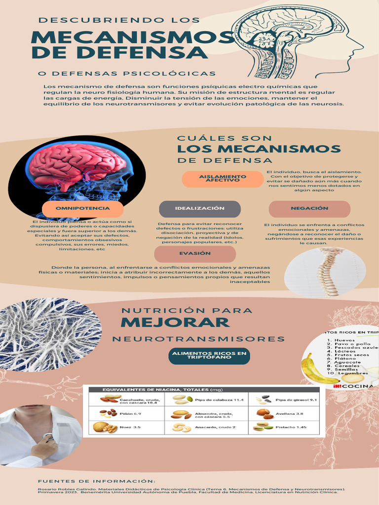 Mecanismos de Defensa | PDF | Las emociones | Mente
