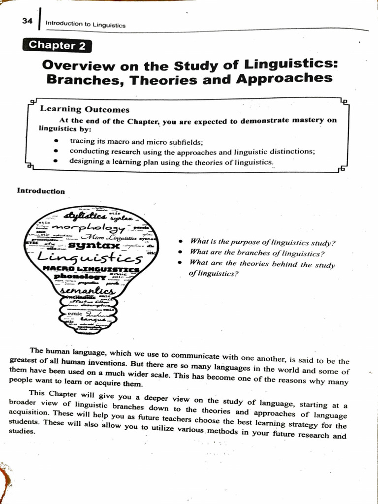 Overview of Linguistics Branches & Theories | PDF | Linguistics | Semantics