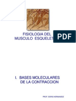 Fisologia Del Musculo Esq. 2