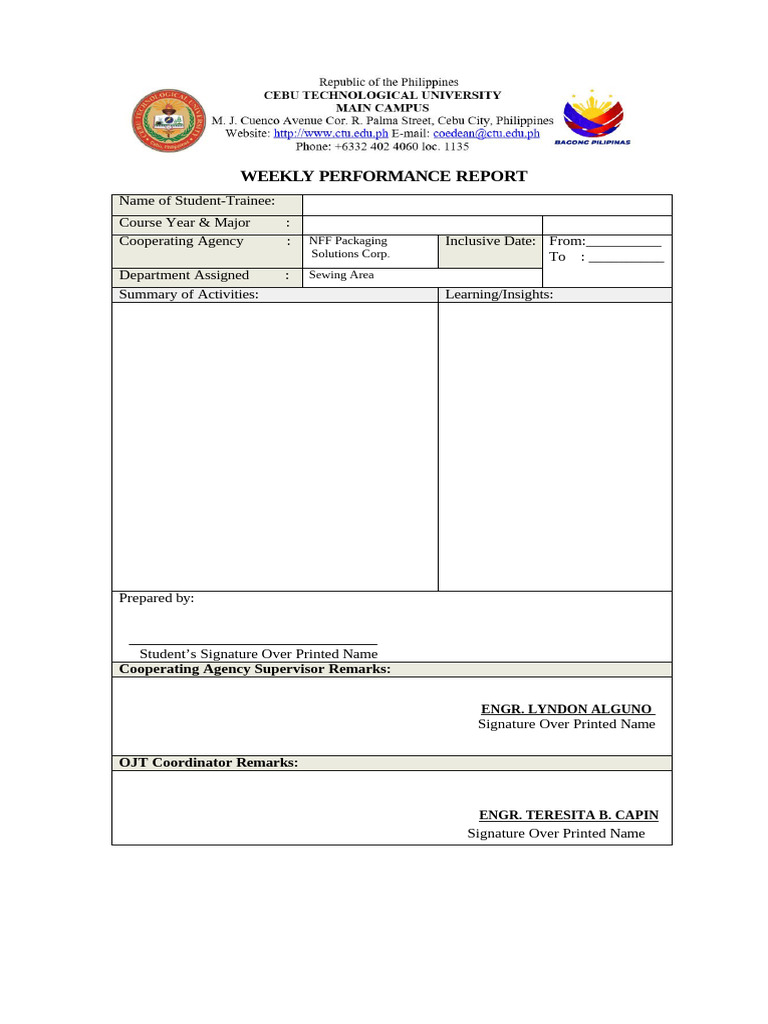 Weekly Performance Report Journal | PDF