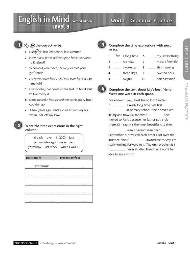 Level 3 Grammar Practice Exercises | PDF | English Language | Linguistics