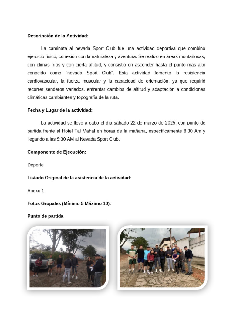 Descripción de La Actividad | PDF