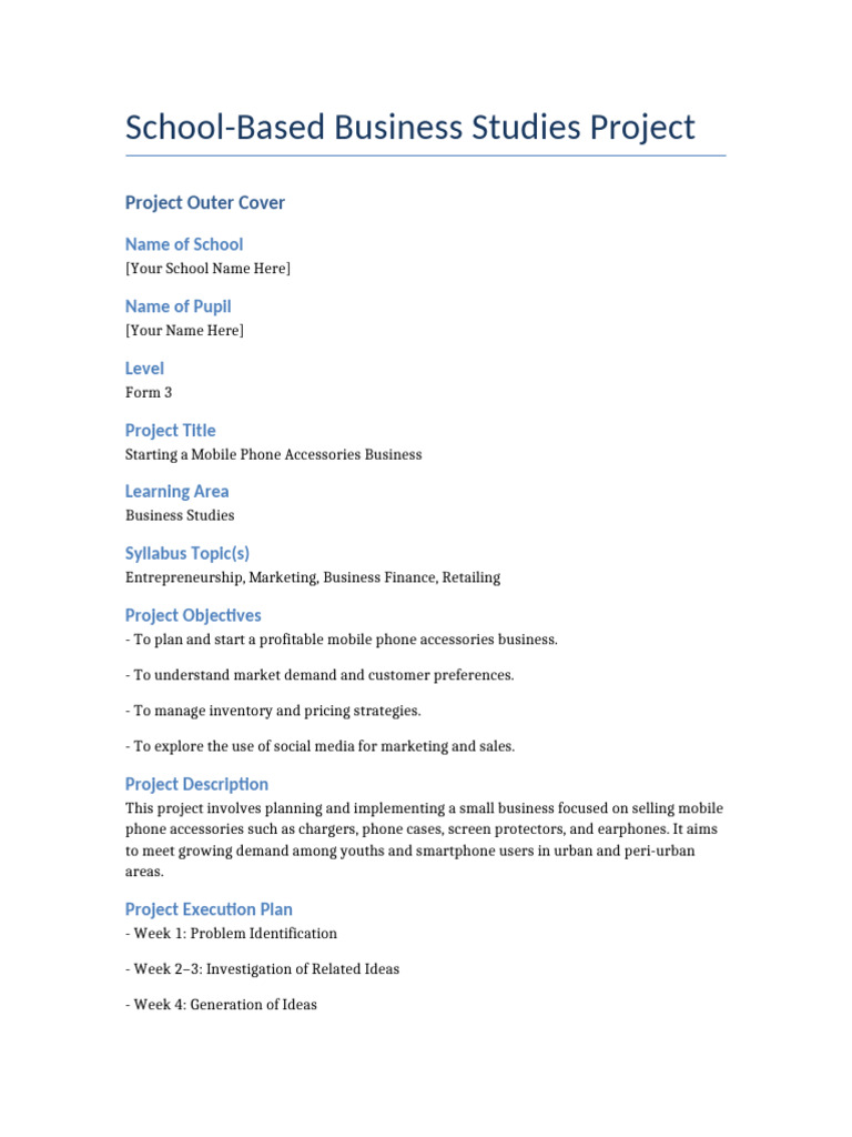 Business Studies Project Mobile Accessories | PDF | Digital Marketing ...