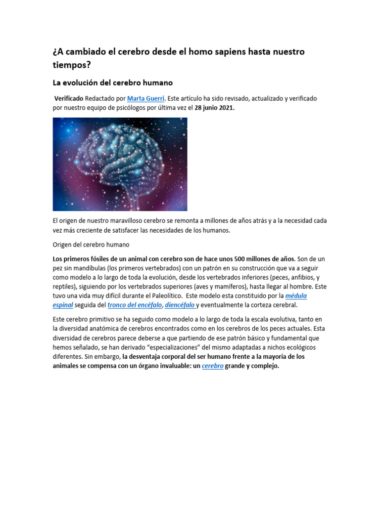 Cerebro Del Humano Moderno y Hominido | PDF | Cerebro | Homo