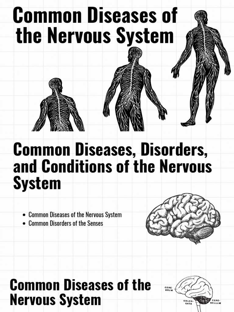 Common Nervous System Diseases Explained | PDF | Vertigo | Meningitis