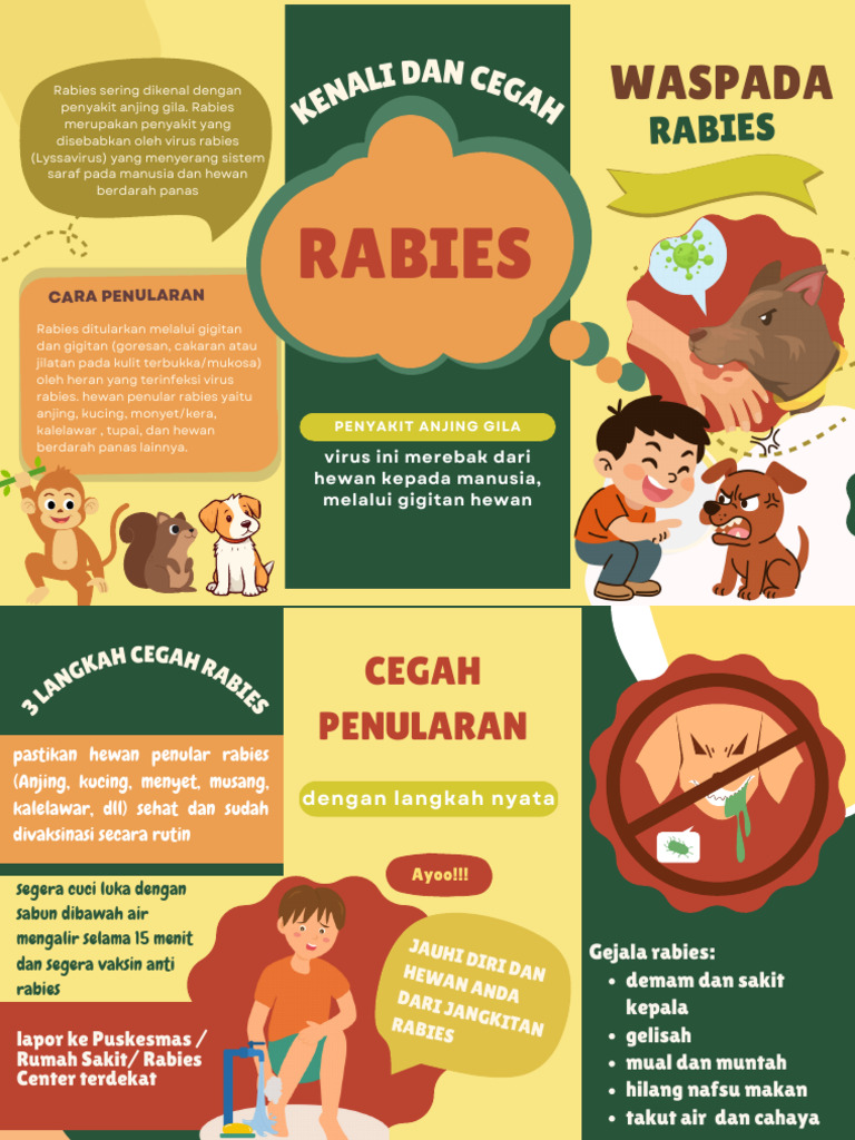 Cegah Rabies: Gejala dan Penularan | PDF