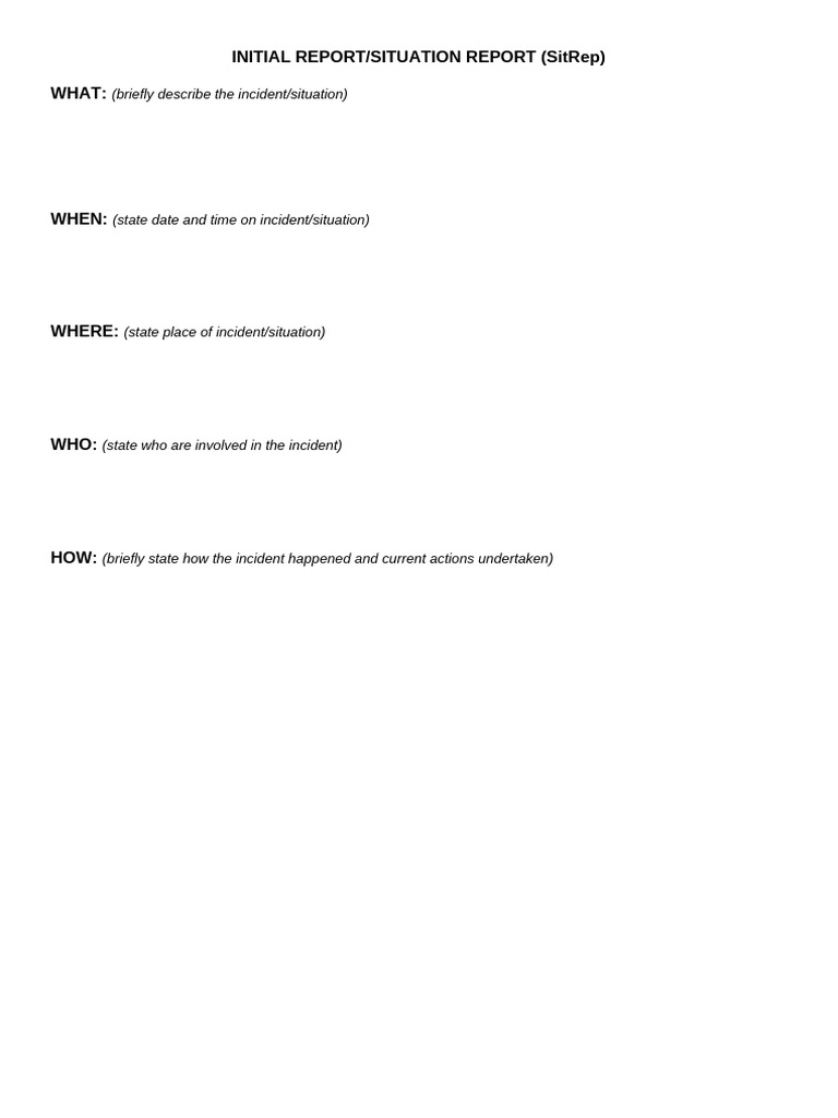 Initial Report Guidelines and Format | PDF