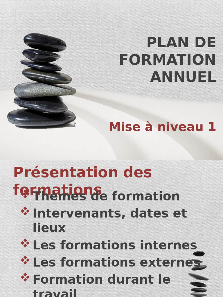 Plan de Formation Annuel 2023 | PDF
