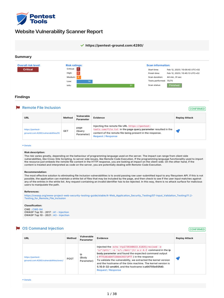 Critical Website Vulnerability Report | PDF | Http Cookie | Cyberspace
