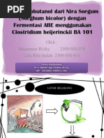 Download Pabrik Biobutanol Dari Nira Sorgum Rev by Laalaa_Indah_1265 SN93607711 doc pdf